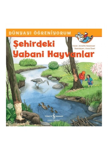 Şehirdeki Yabani Hayvanlar
