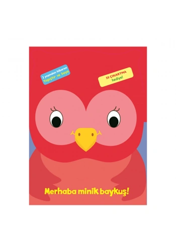 Merhaba Minik Baykuş