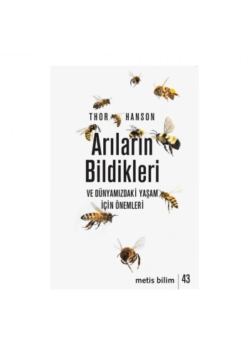 Arıların Bildikleri ve Dünyamızdaki Yaşam İçin Önemleri