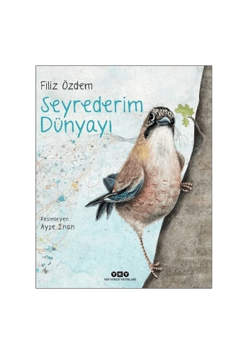 Seyrederim Dünyayı