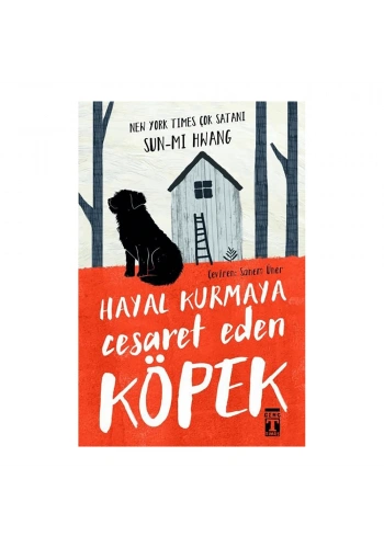  Hayal Kurmaya Cesaret Eden Köpek