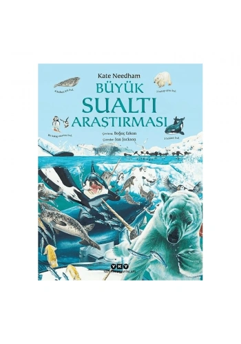 Büyük Sualtı Araştırması