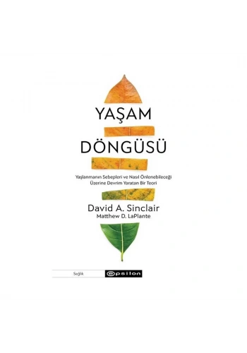 Yaşam Döngüsü