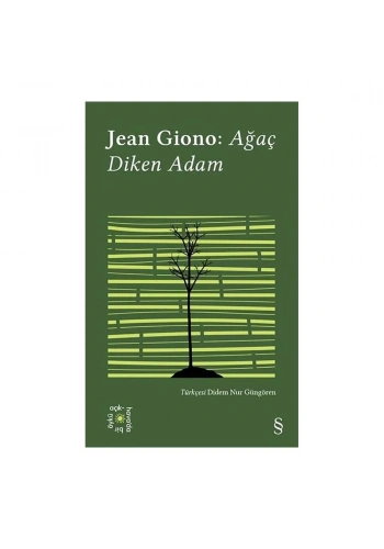 Ağaç Diken Adam (Açıkhava Serisi 17)