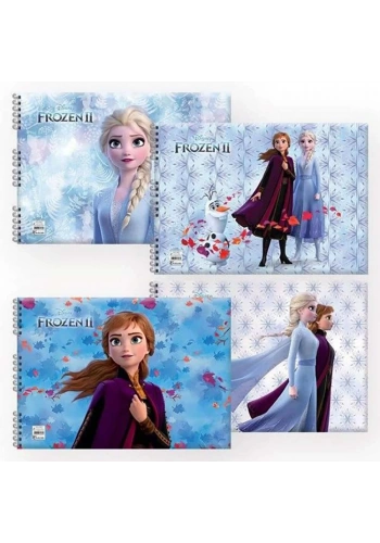 Keskin Resim Defteri 35x50cm 15yp Frozen II 300315-92