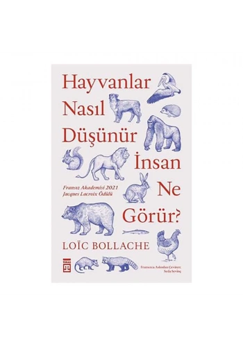 Hayvanlar Nasıl Düşünür, İnsan Ne Görür?
