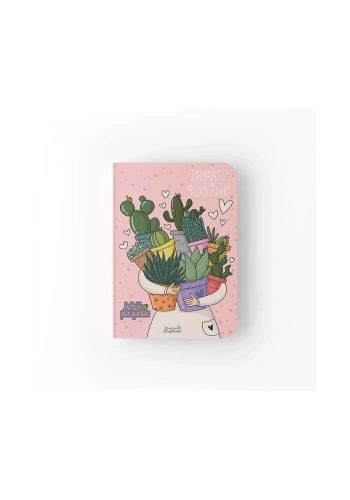 Melimelek Kaktüs Zamansız Sukulent 15x21,5