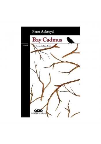 Bay Cadmus