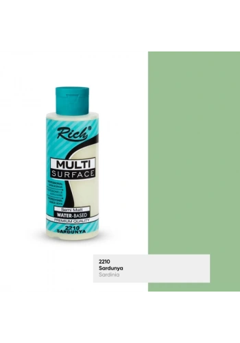 RICH MULTİ AKRİLİK BOYA 2210 SARDUNYA 120 cc