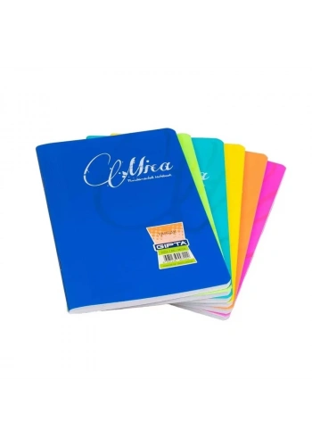 GIPTA MİCA PLASTİK KAPAK DEFTER A4 DÜZ 80 YAPRAK (2972)