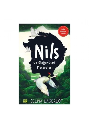 Nils ve Olağanüstü Maceraları