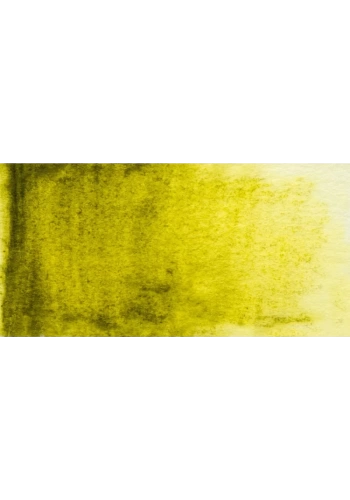 Derwent Graphitint Sulandırılabilen Renkli Grafit Kalem-Meadow