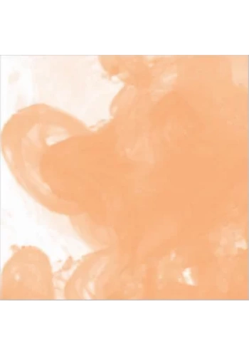 Daler Rowney FW Acrylic Artist Ink 29.5ml Cam Şişe Flesh Tint 578