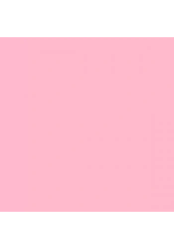 Tombow Dual Brush Pen Blush 772