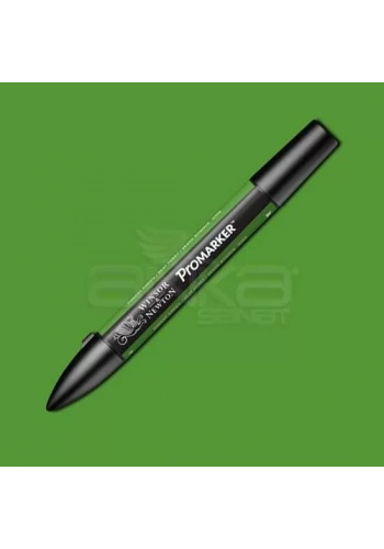 Winsor & Newton Promarker Forest Green G356