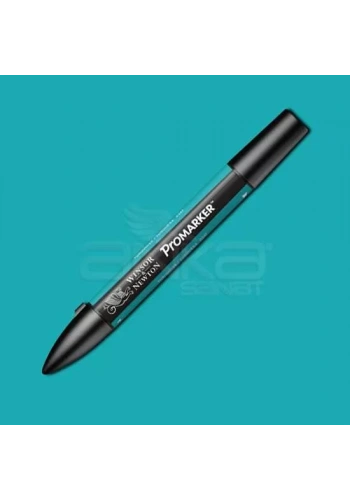 Winsor & Newton Promarker Turquoise C247