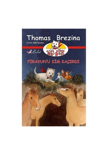 Firavun’u Kim Kaçırdı