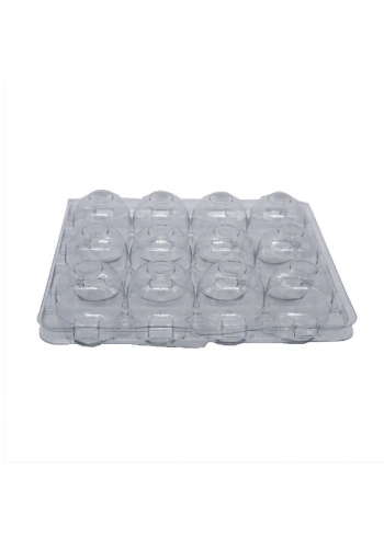 Şefffaf Bıldırcın Yumurtası Viyolü 12li ( 800 Adet )