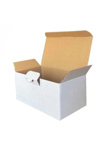 17,5x10x8,5cm Kilitli Kutu - Beyaz