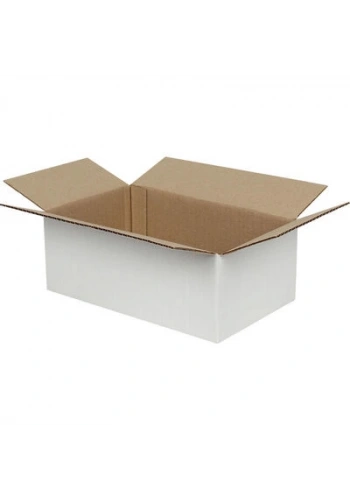 25x15x10cm Tek Oluklu Koli - Beyaz