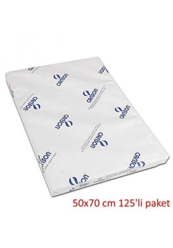 Canson 1557 Resim Çizim Kağıdı 200 gr. 50x70 cm. 125li Paket