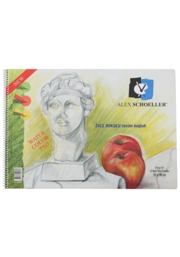 Alex Schoeller PP Kapak Resim ve Eskiz Çizim Defteri 120 gr. 35x50 cm. 25 yp.