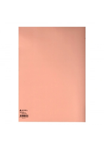 Adel Fon Kartonu 160gr 50x70cm Somon