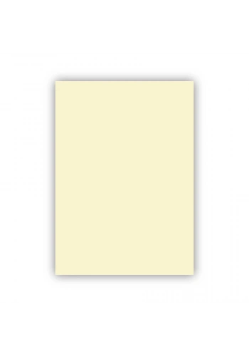 ALEX KOLEJ FON KARTONU 50x70 FİLDİŞİ 160 GR 100 LÜ 1002