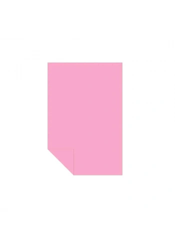 ALEX KOLEJ FON KARTONU 50x70 PEMBE 160 GR 100 LÜ 1010