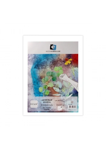 Alex Schoeller Bristol Kağıdı 210gr 35x50cm Amerikan ALX-0121