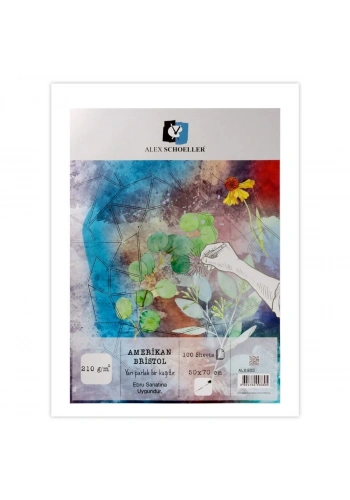 Alex Schoeller Bristol Kağıdı 210gr 50x70cm Amerikan ALX-805