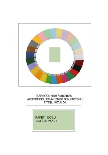 Alex Schoeller Fon Kartonu 160 GR A4 04 Fıs Yeşili