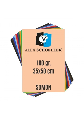 Alex Schoeller Fon Kartonu 160gr 35x50cm 05 Somon