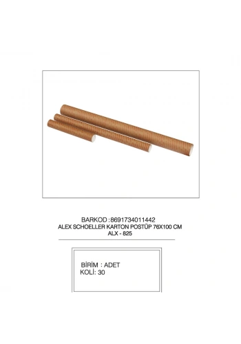 Alex Schoeller Proje Tüpü Karton 76x100 CM 825