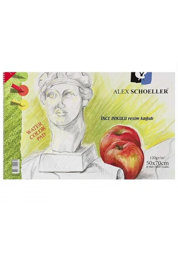 Alex Schoeller Resim Defteri Spiralli 120gr 50x70cm 20 Yaprak