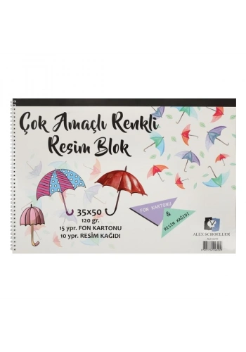Alex Schoeller Resim Defteri Spiralli Çok Amaçlı 15 YP 35x50 120 GR ALX-0299