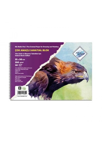 Art Liva Çok Amaçlı Dokulu Sanatsal Resim Defteri 350 gr. 35x50 cm. 20 yaprak