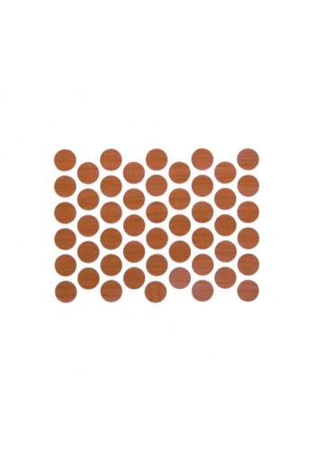 Ayder Parlak Yapışkan Tapa Ø14 Kartela