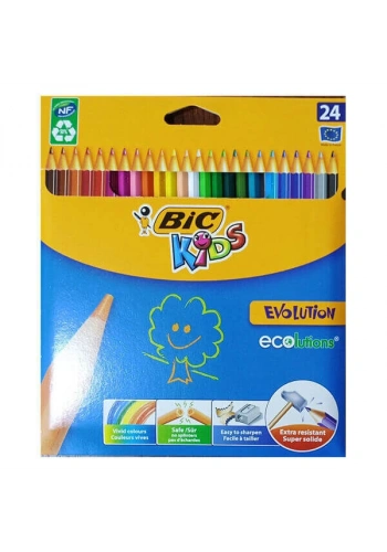 Bic Evolution Kuru Boya 24 Renk Karton Kutu (9375152)