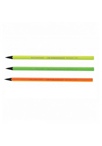 Bic Kurşun Kalem Evo Fluo 12 Lİ 940757