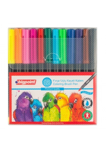 Bigpoint Fırça Uçlu Keçeli Kalem Seti 12 Renk