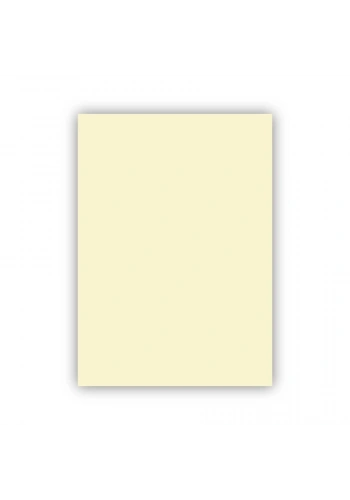 Bigpoint Fon Kartonu 50x70cm 120 Gram Fildişi