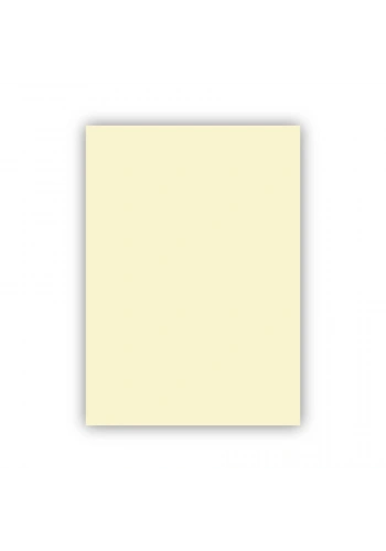 Bigpoint Fon Kartonu 50x70cm 160 Gram Fildişi