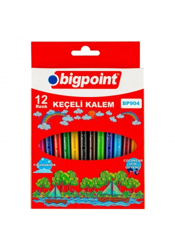 Bigpoint Keçeli Kalem 12li Set (Karton Kutulu)