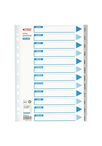 Bigpoint PP Seperatör Aylar