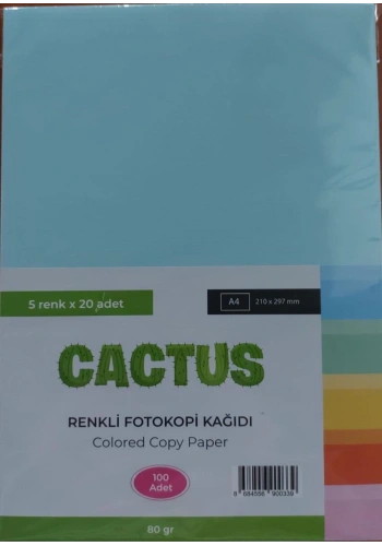 Cactus Fotokopi Kağıdı Renkli A4 80 Gr. 100Lü 5 Renk