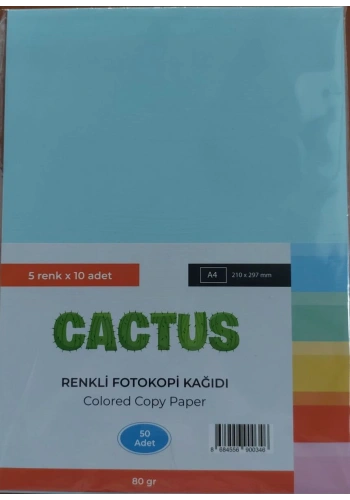 Cactus Fotokopi Kağıdı Renkli A4 80 gr. 50li 5 Renk