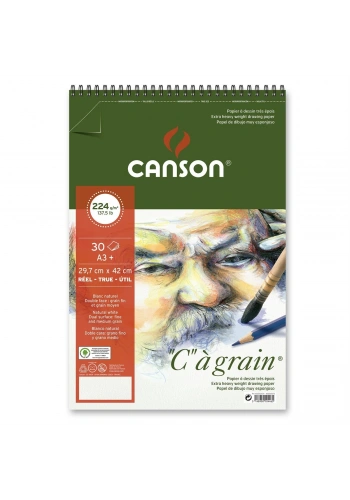Canson C à grain Eskiz Çizim Defteri A3+ 224gr 30yp Spiralli