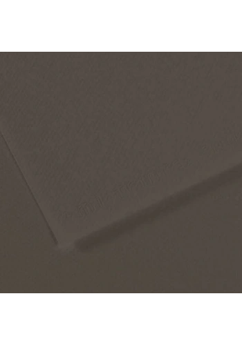 Canson Fon Kartonu (Dokulu) Mı-Teıntes Sh Canmt 50x65 160 GR Grey 184