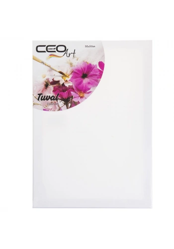 Ceo Art Çerçeveli Tuval 35x50 Düz